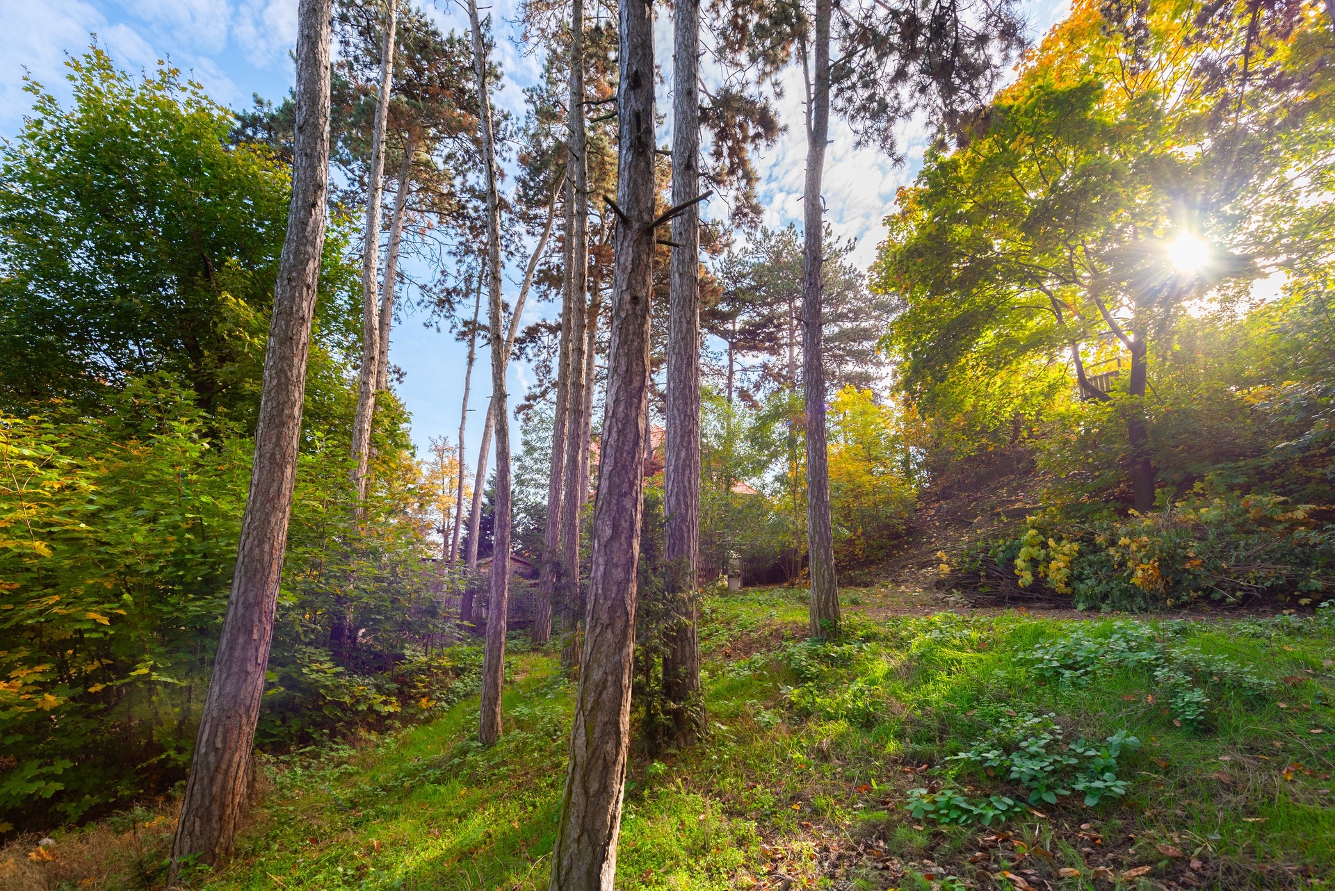 Prodej exkluzivního pozemku se stavebním povolením, 1 429 m², Praha 5 - Košíře — fotografie 4