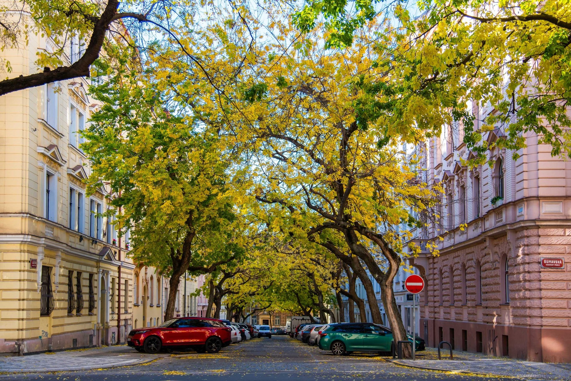Prodej činžovního domu 1 650 m², Praha - Vinohrady — fotografie 5