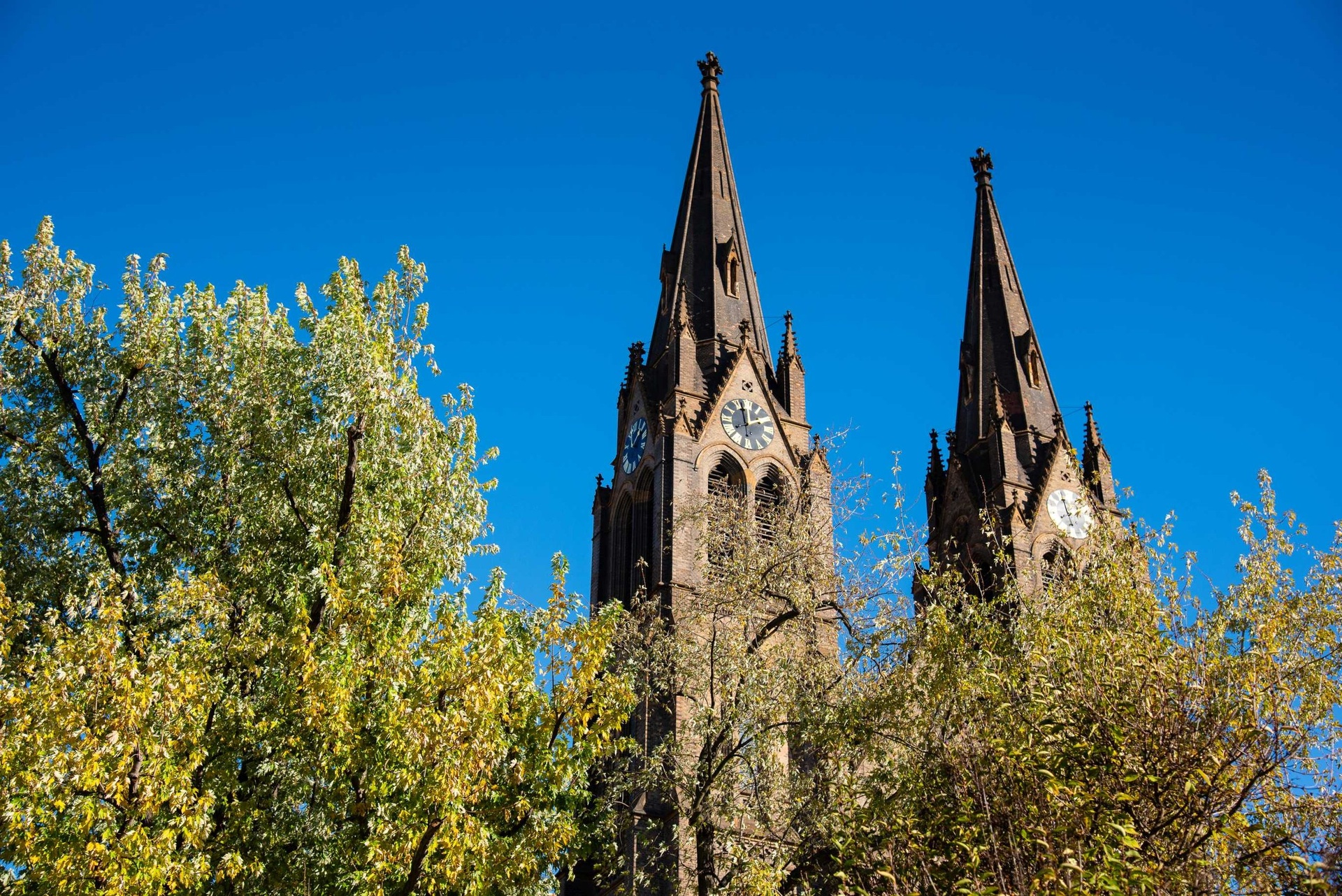 Prodej činžovního domu 1 650 m², Praha - Vinohrady — fotografie 3