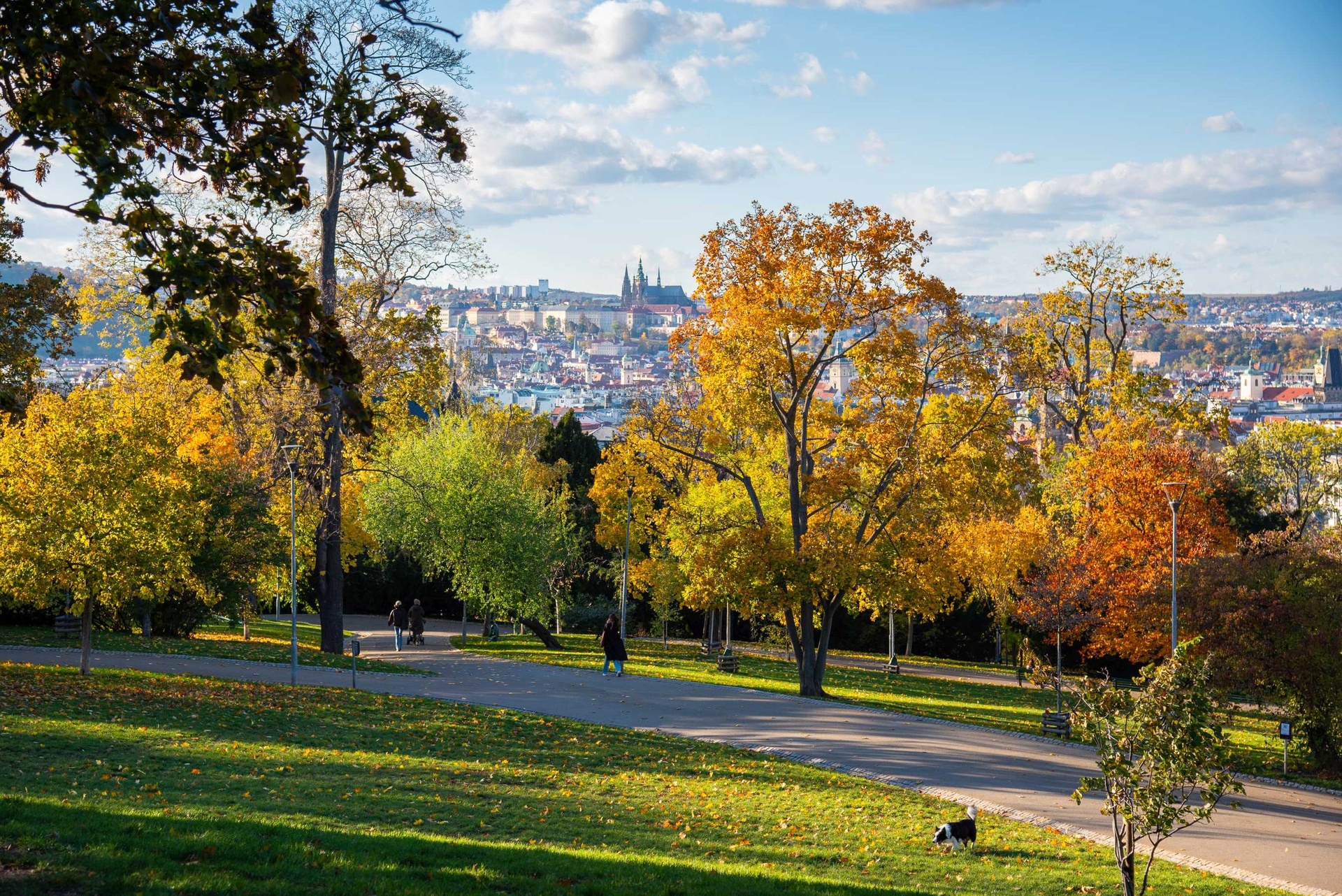 Prodej bytu 1+kk po rekonstrukci, 30 m², Praha 2 - Vinohrady — fotografie 5