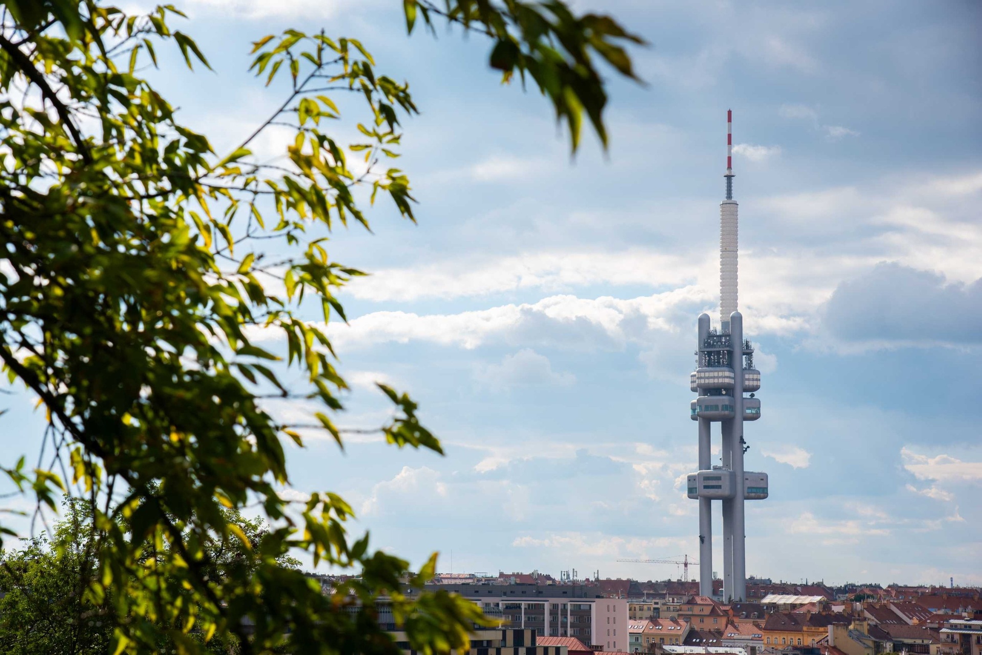 Prodej prostorné ordinace, 59 m², Praha 3 - Vinohrady — fotografie 8
