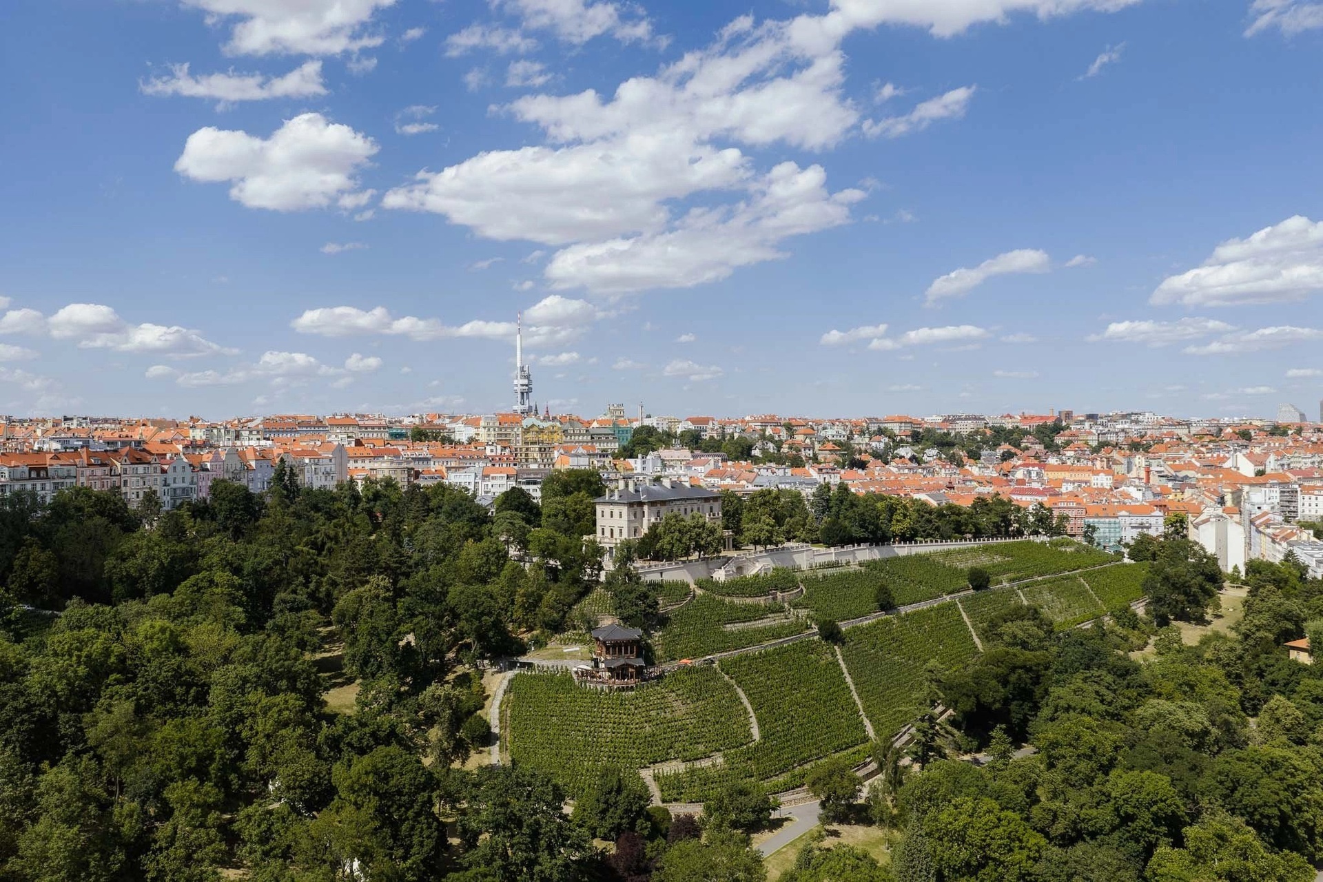 Prodej elegantního bytu 2+kk, 59 m², Praha 4 - Nusle — fotografie 16