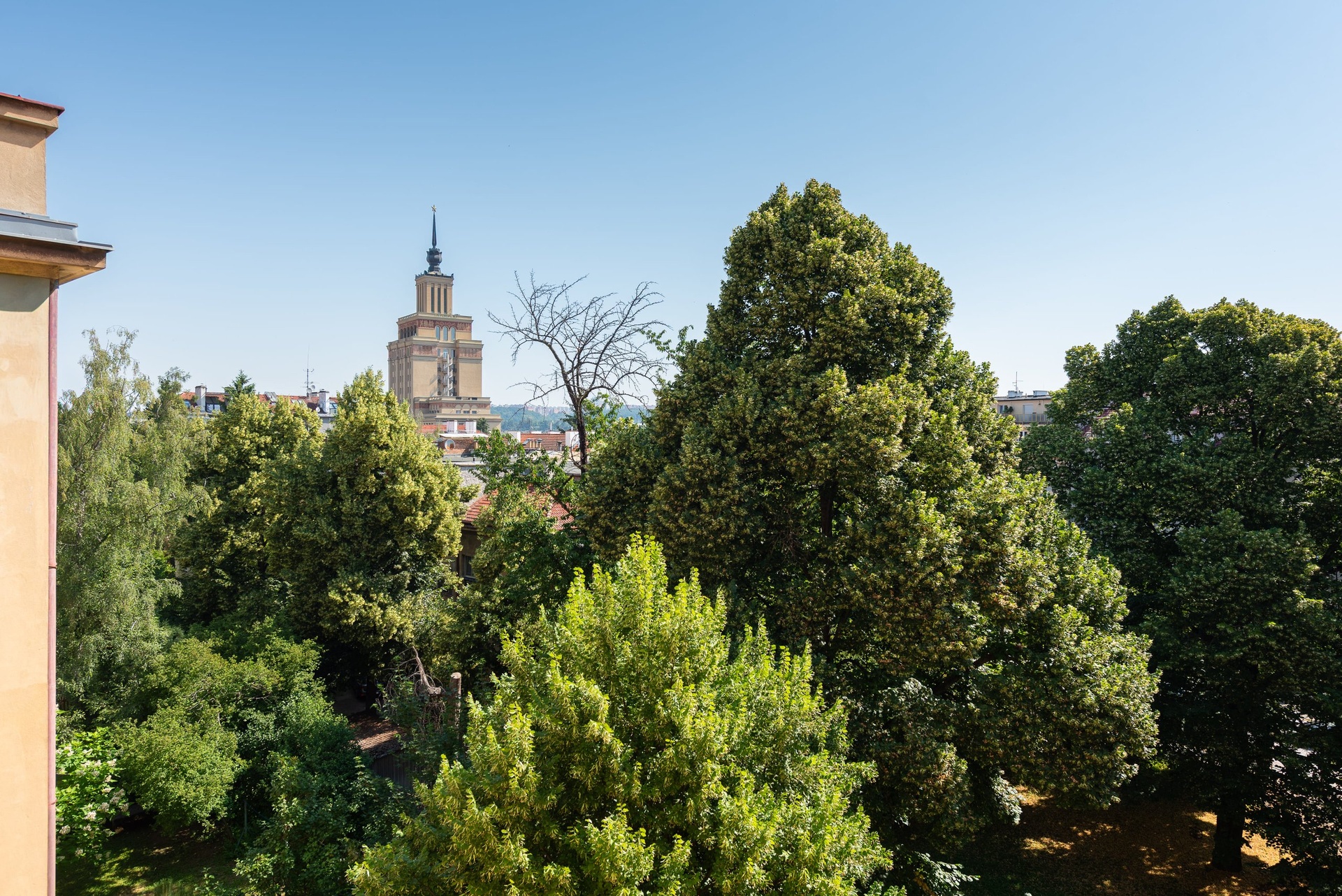 Prodej exkluzivního bytu 3+kk, 100 m², Praha 6 - Dejvice — fotografie 15