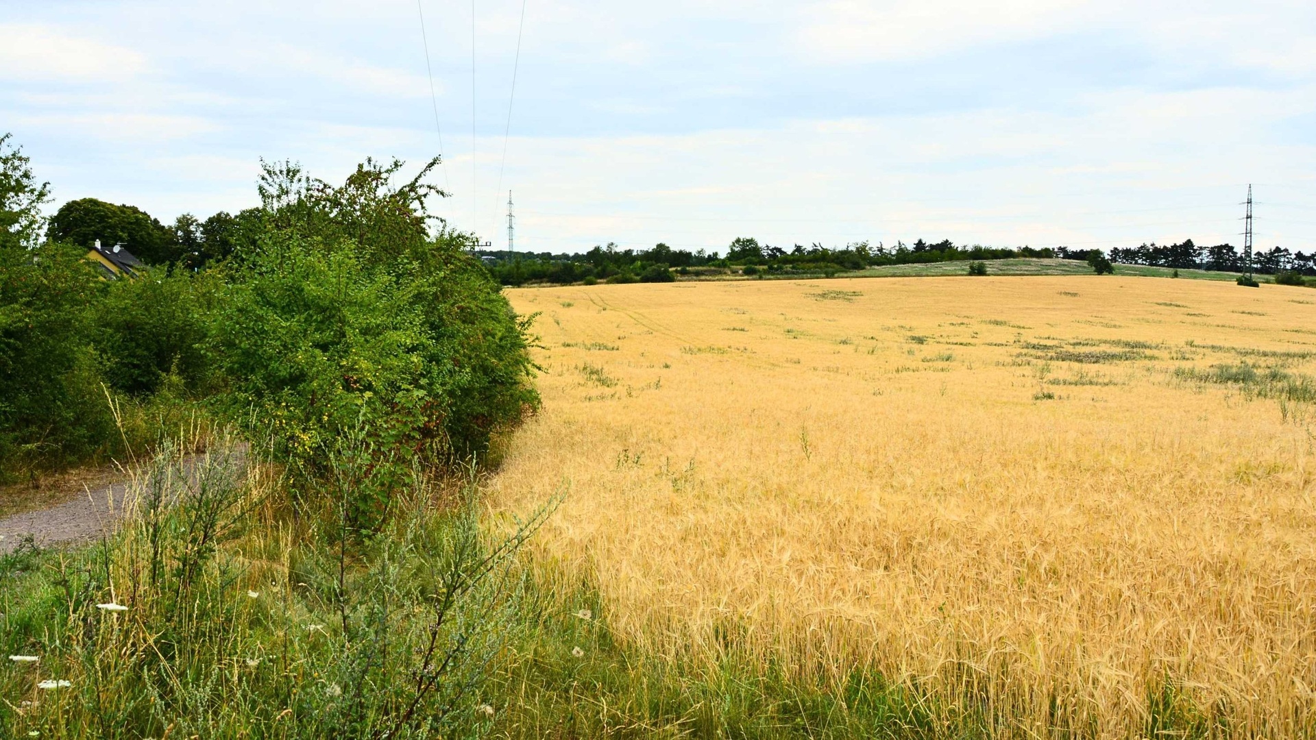 Prodej investičního pozemku, 11 879 m², Cvrčovice — fotografie 3